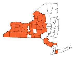 Map of infestation